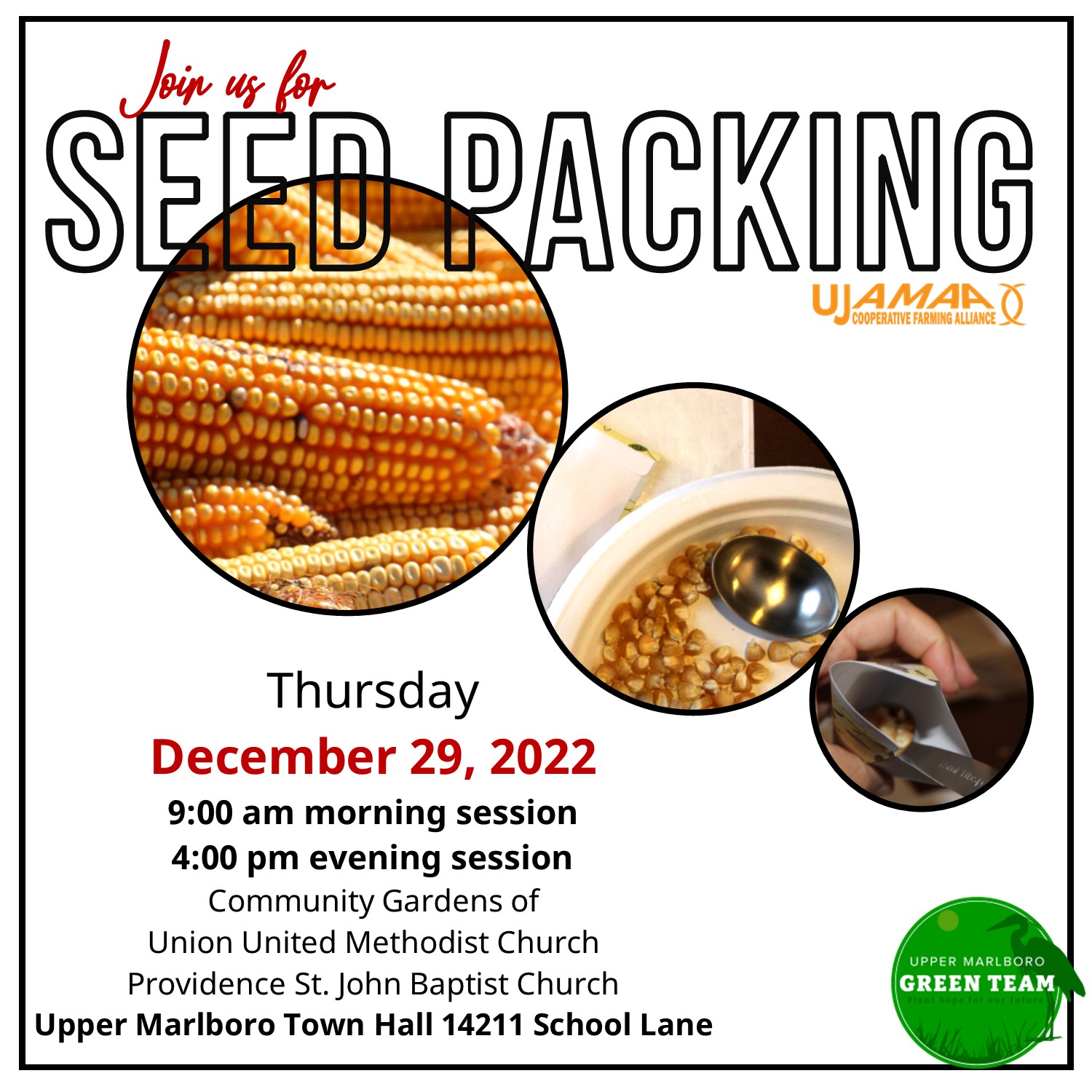 seed packing